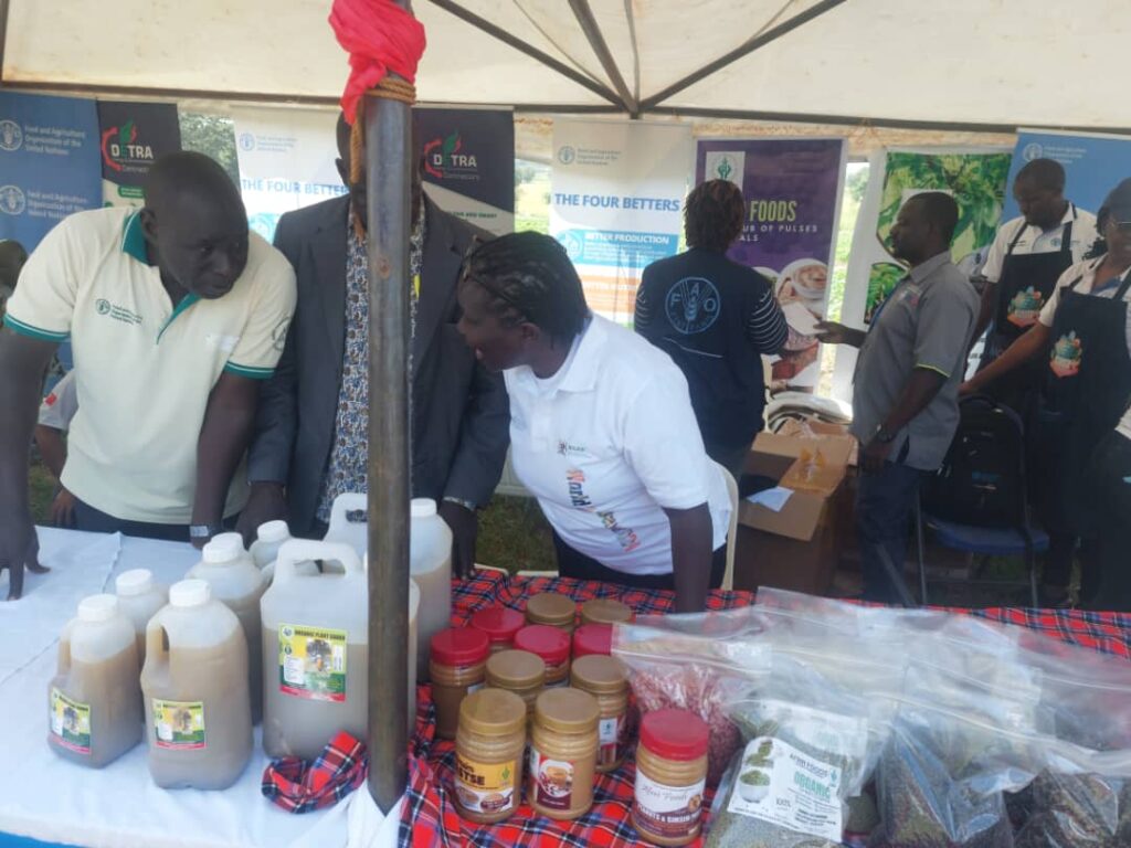 Capacitación de mujeres en apicultura sostenible para restaurar bosques en Soroti, Uganda.